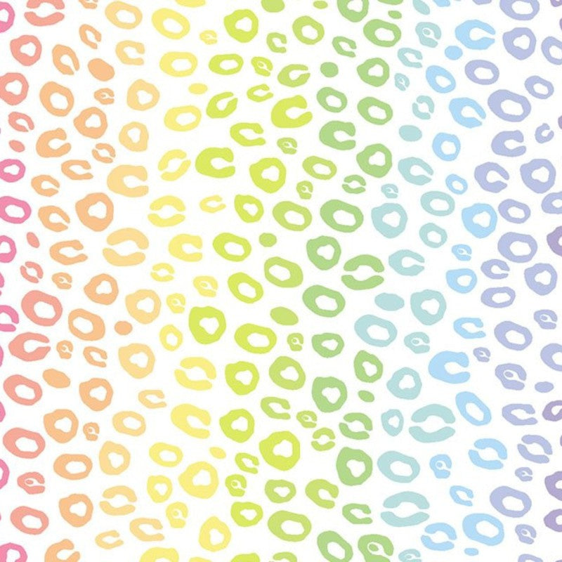 Little Johnny Rainbow Leopard