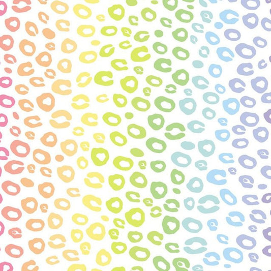 Little Johnny Rainbow Leopard